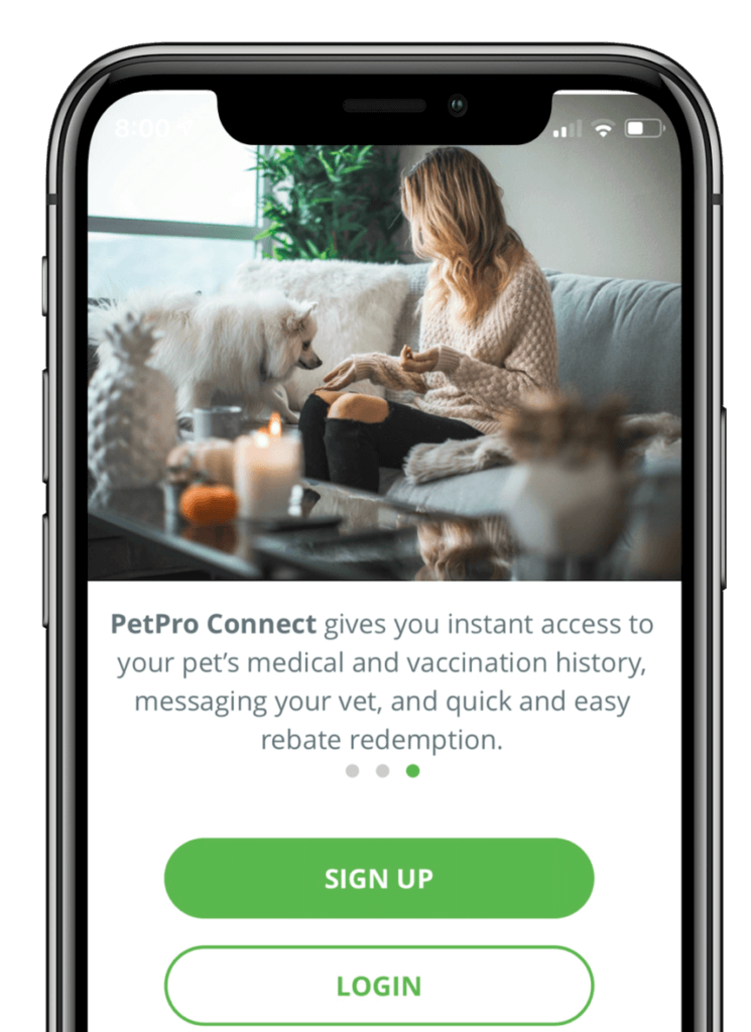 Home Packanack Veterinary Hospital A FullService Animal Hospital